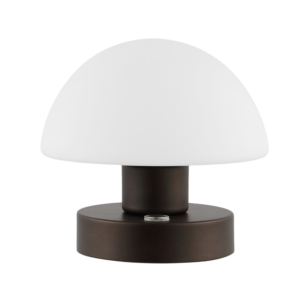 Modern mushroom 5.75" Bohemian Farmhouse Iron Rechargeable Integrated LED Table Lamp