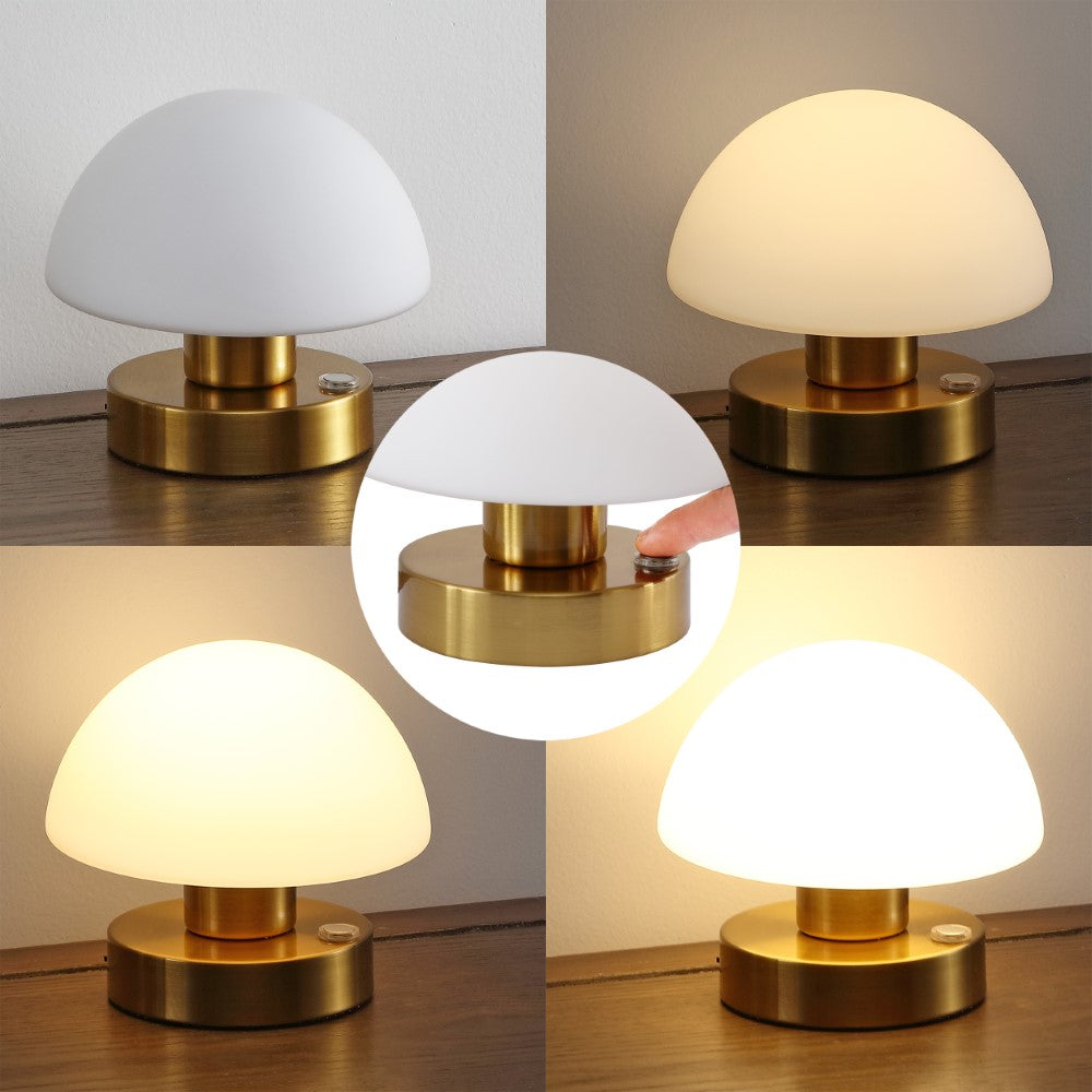 Modern mushroom 5.75" Bohemian Farmhouse Iron Rechargeable Integrated LED Table Lamp