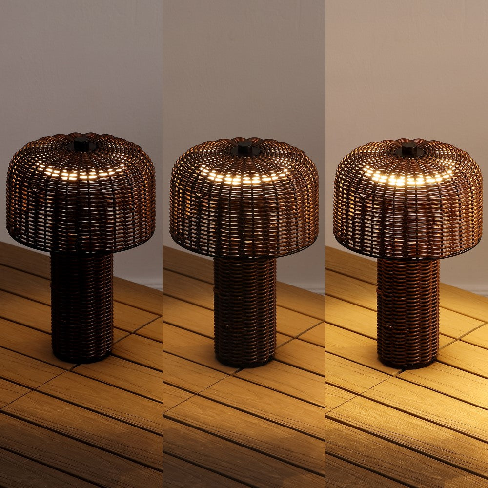 Eagle 10" Modern Scandinavian Indoor/Outdoor Faux Wicker Rechargeable/Cordless Dimmable Integrated LED Table Lamp, Set of 2