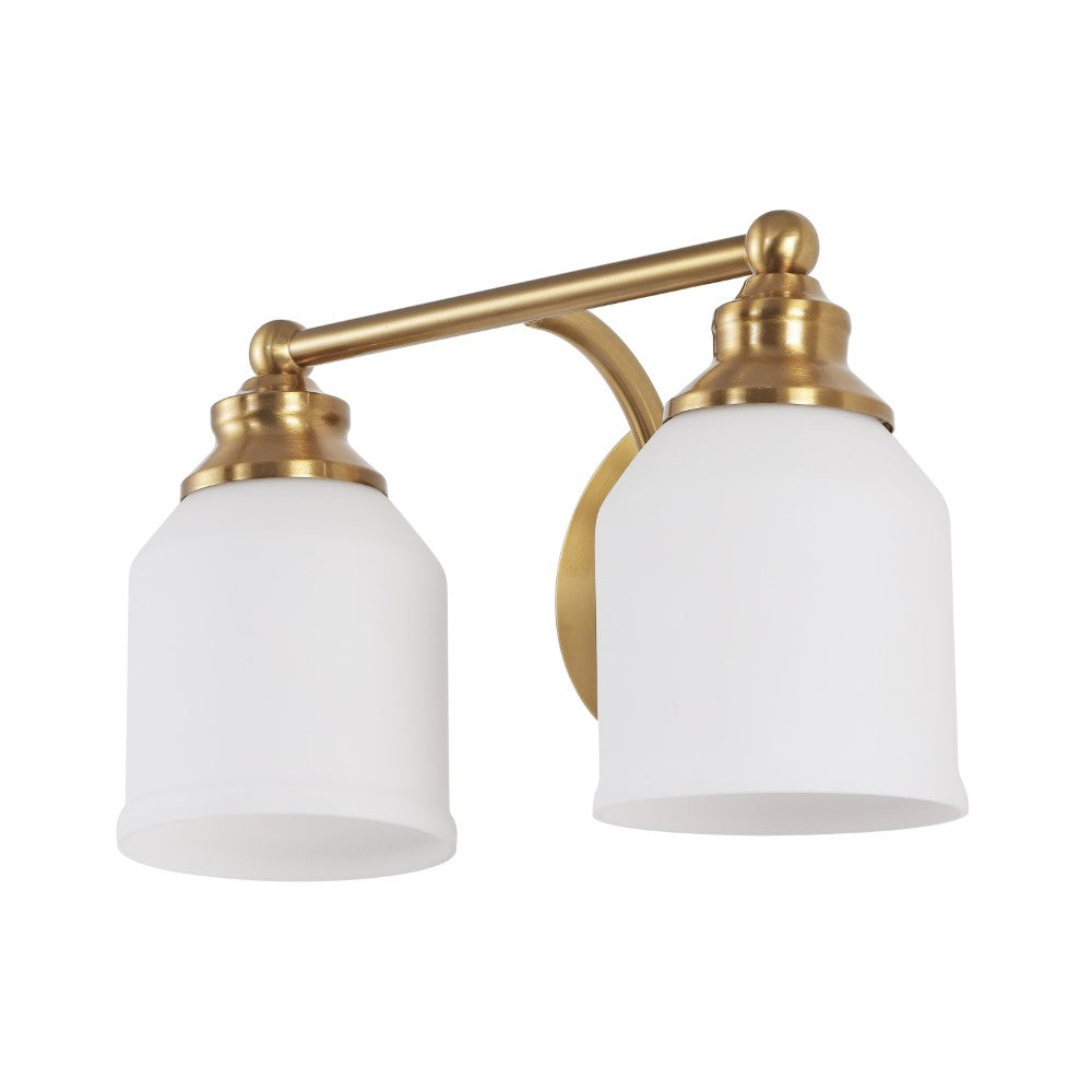 Berkley Iron/Frosted Glass Farmhouse Cottage LED Vanity Light