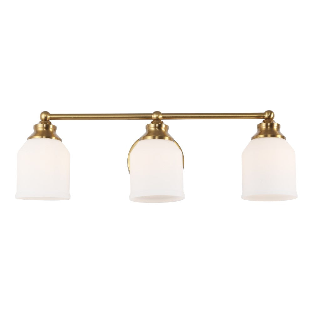 Berkley Iron/Frosted Glass Farmhouse Cottage LED Vanity Light