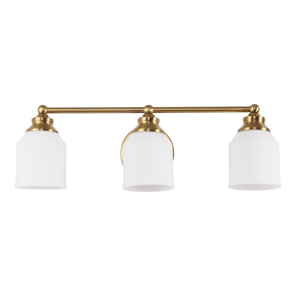 Berkley Iron/Frosted Glass Farmhouse Cottage LED Vanity Light