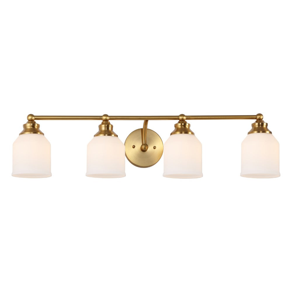 Berkley Iron/Frosted Glass Farmhouse Cottage LED Vanity Light