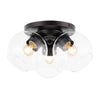 Oil Rubbed Bronze/Clear