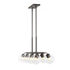 Oil Rubbed Bronze/Clear