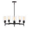 Oil Rubbed Bronze/Clear