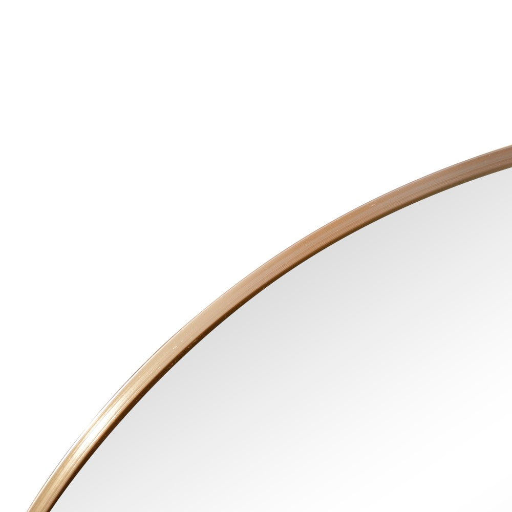 Nova 24 in. W x 36 in. H Medium Oval Metal Framed Wall Mirror