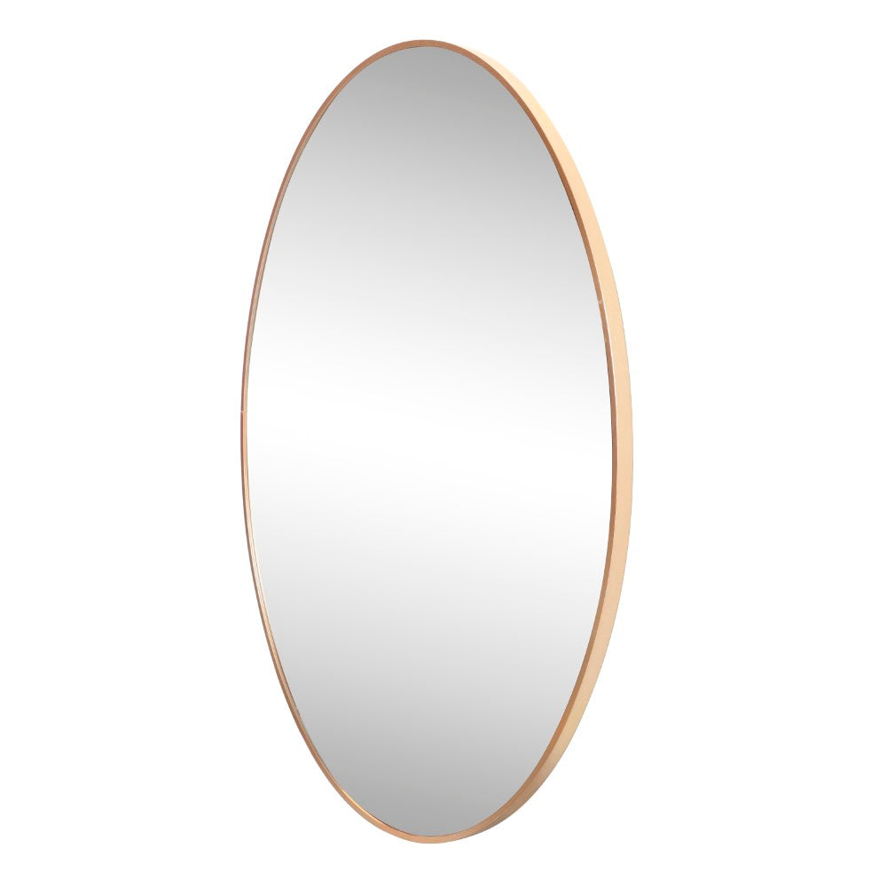 Sagegrove 24 in. W x 36 in. H Medium Oval Aluminum Alloy Framed Wall Mounted Mirror