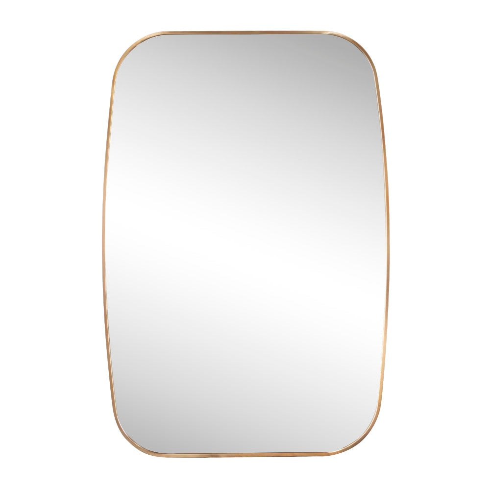 Petalroot 24 in. W x 36 in. H Medium Capsule Oblong Oval Aluminum Alloy Framed Wall Mounted Mirror