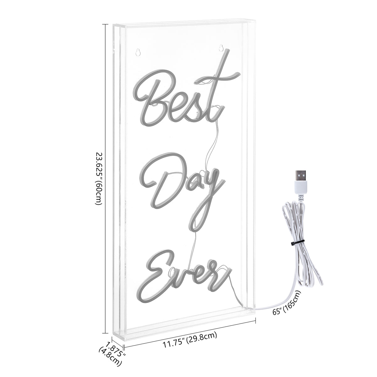 Unique Best Day Ever Contemporary Glam Acrylic Box USB Operated LED Neon Light