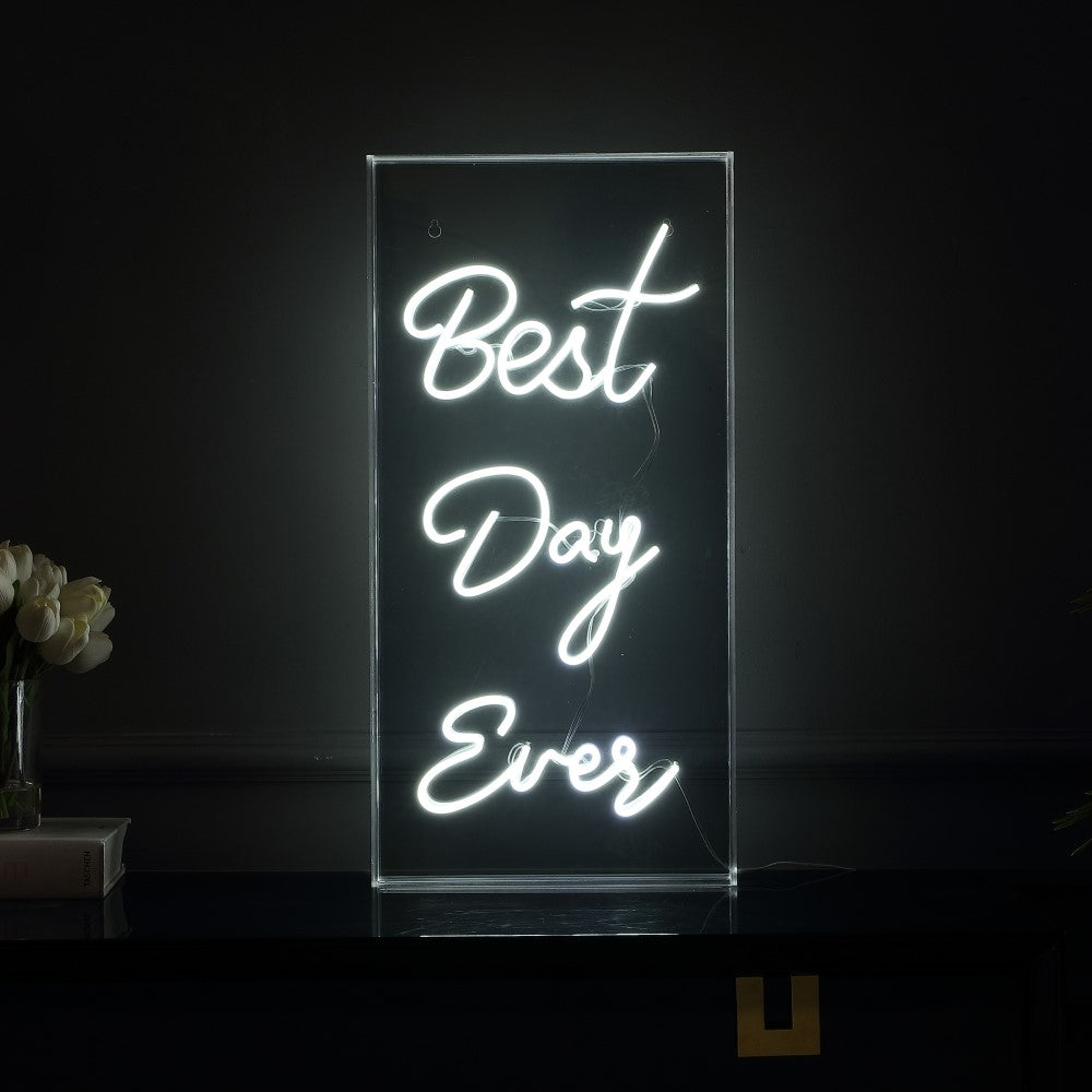 Unique Best Day Ever Contemporary Glam Acrylic Box USB Operated LED Neon Light