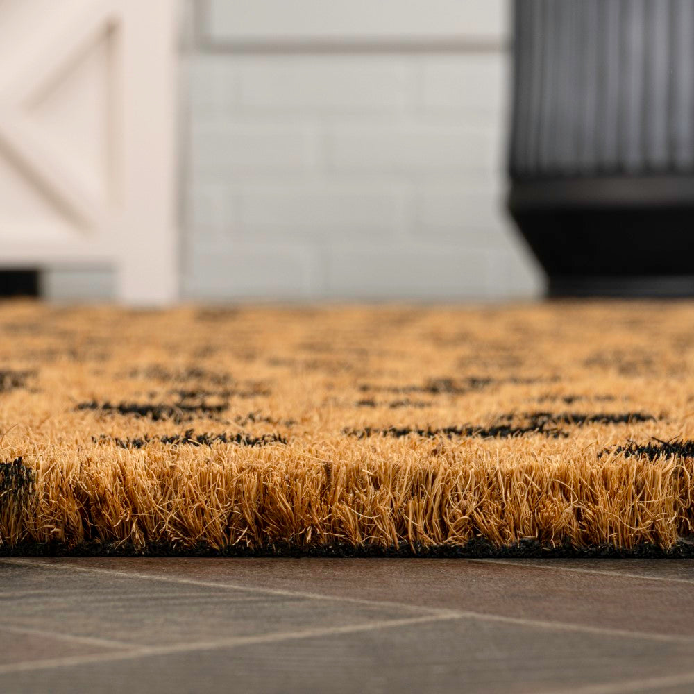 Liora Modern Classic Animal-spot Bordered Coir Area Rug