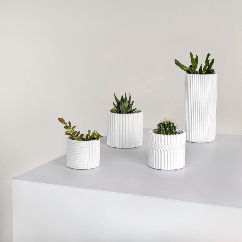 Floren Modern Minimalist Handmade Concrete Fluted Cylinder Planter Set