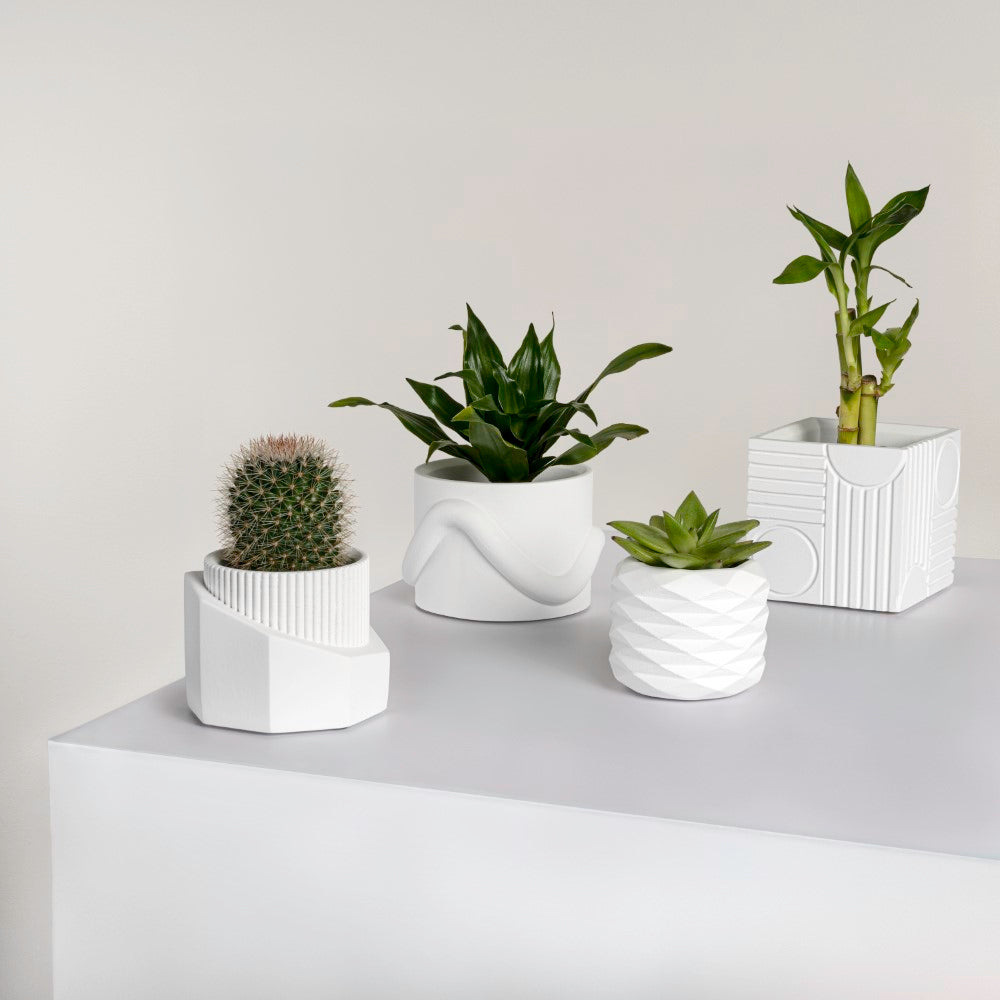 Mossel Modern Minimalist Handmade Concrete Geometric Planter Set with Drainage Holes