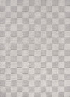 Silver/Gray