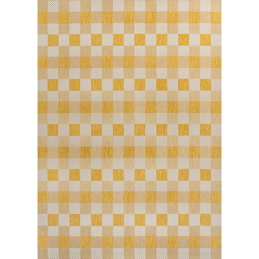 Courtyard Traditional Geometric Bold Gingham Indoor/Outdoor Area Rug