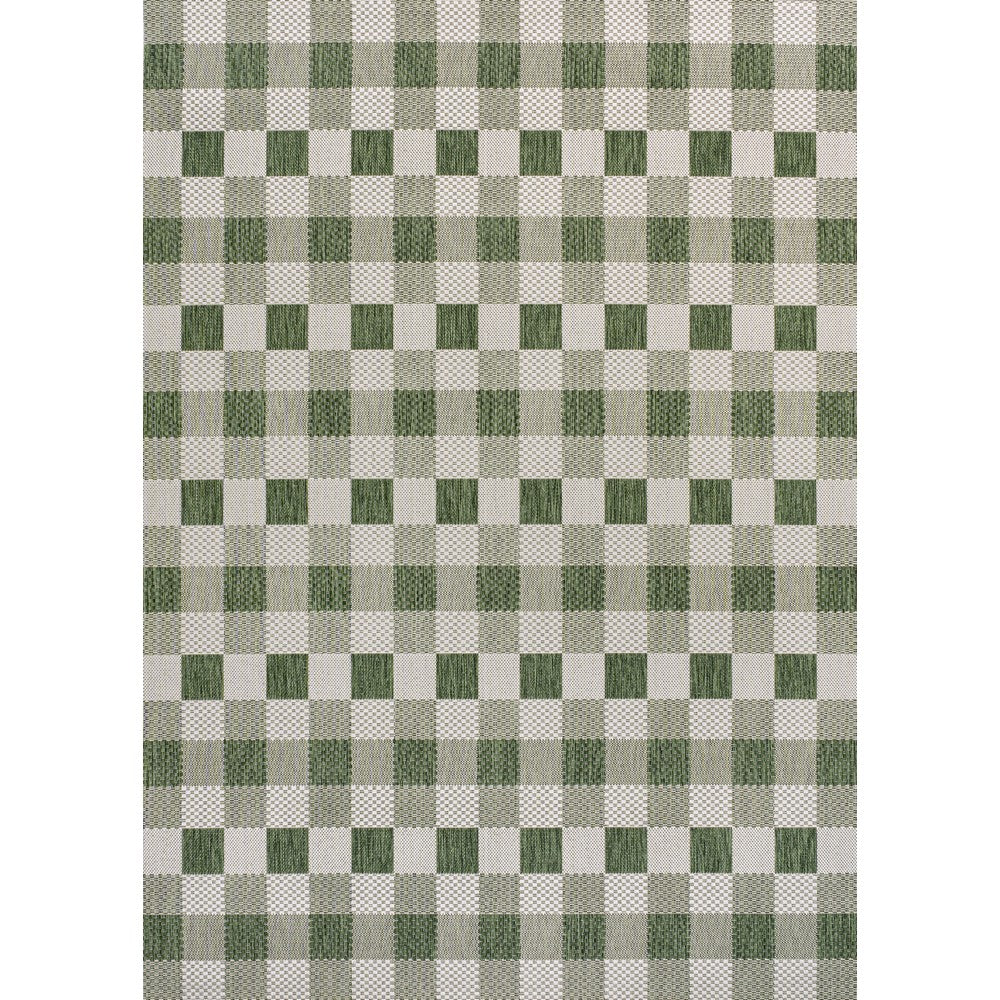 Courtyard Traditional Geometric Bold Gingham Indoor/Outdoor Area Rug
