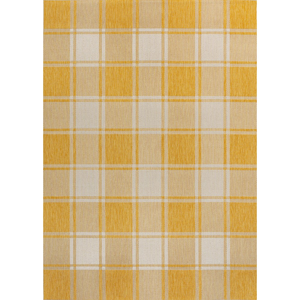 Acrylic Traditional Farmhouse Bold Gingham Indoor/Outdoor Area Rug