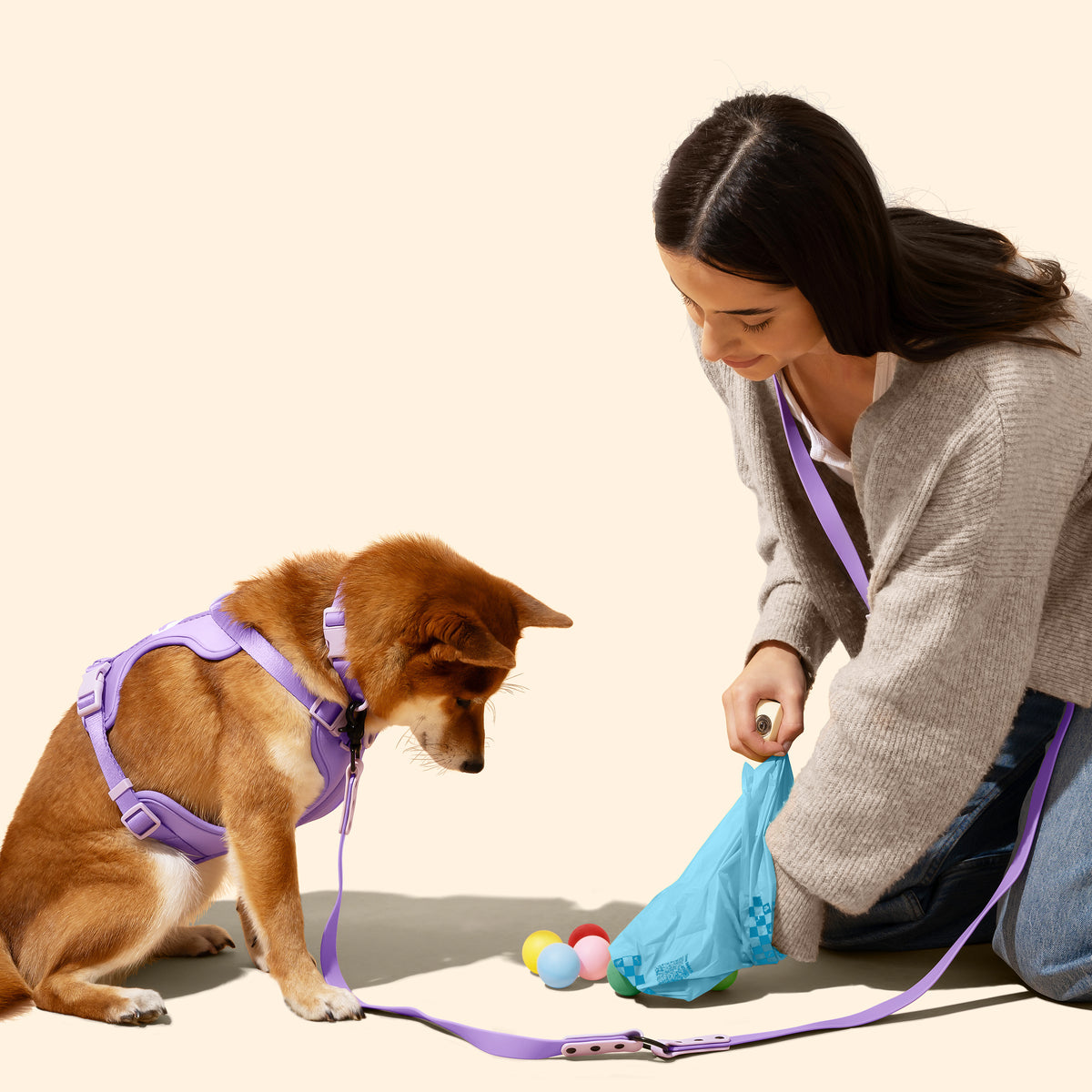 Extra Thick Leak-Proof Unscented Dog Poop Bags