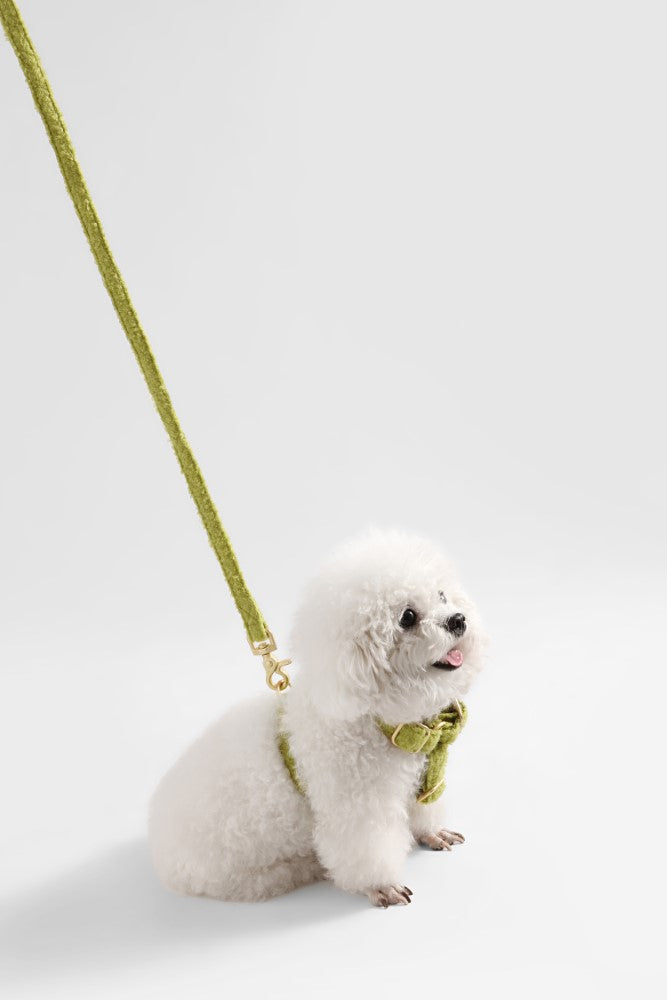 Nand Bouclé Adjustable H Harness and Leash Walk Set with Poop Bag Pouch