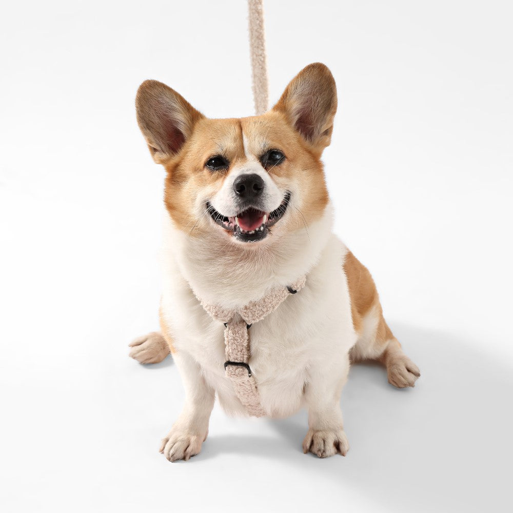 Nand Bouclé Adjustable H Harness and Leash Walk Set with Poop Bag Pouch
