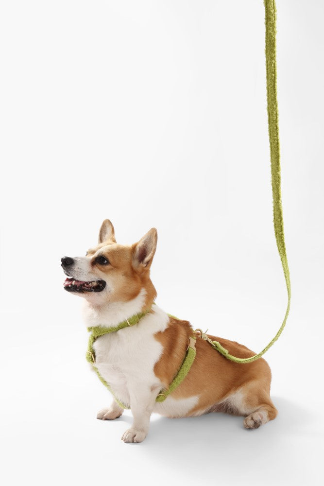 Nand Bouclé Adjustable H Harness and Leash Walk Set with Poop Bag Pouch