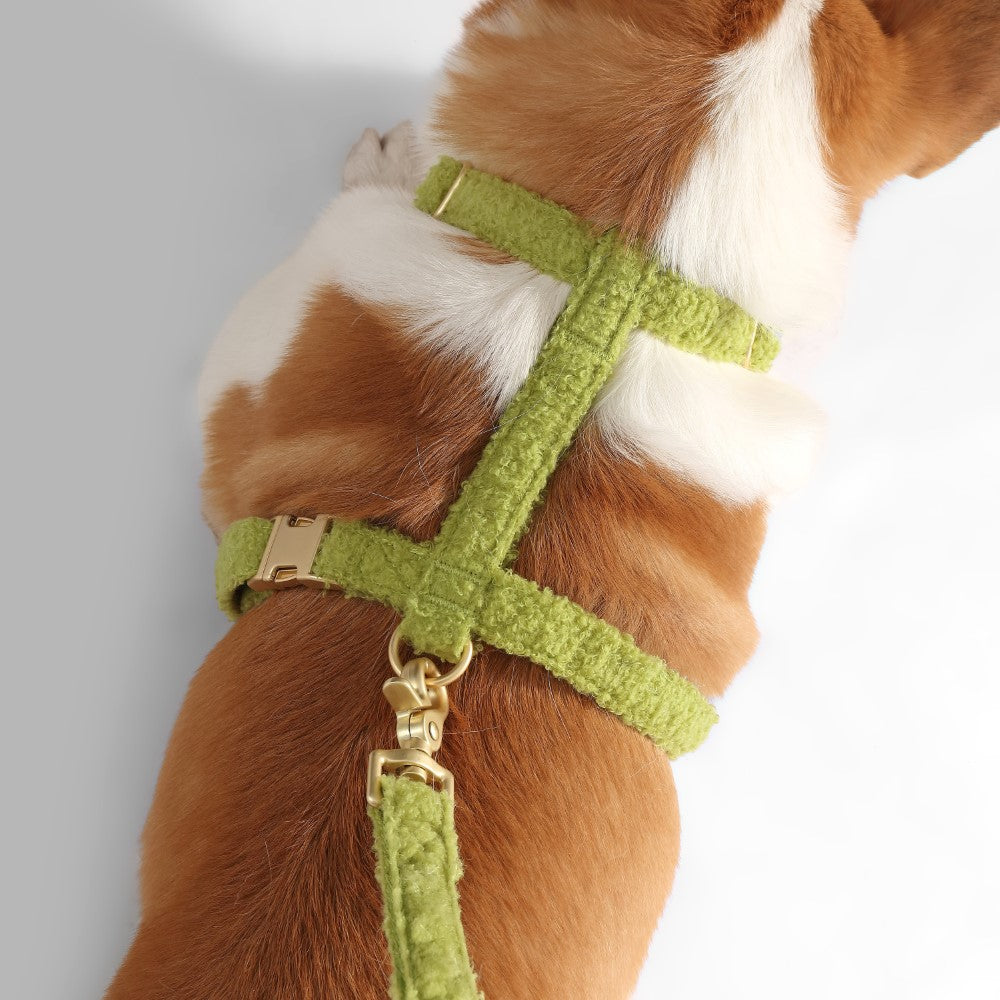 Nand Bouclé Adjustable H Harness and Leash Walk Set with Poop Bag Pouch