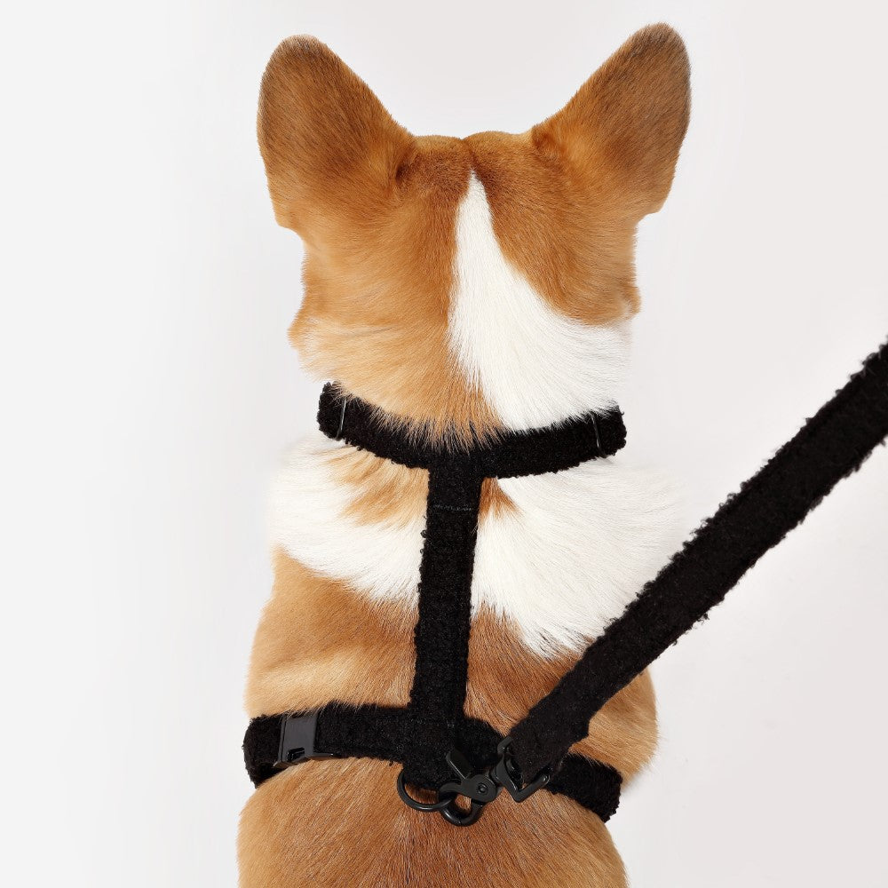 Nand Bouclé Adjustable H Harness and Leash Walk Set with Poop Bag Pouch