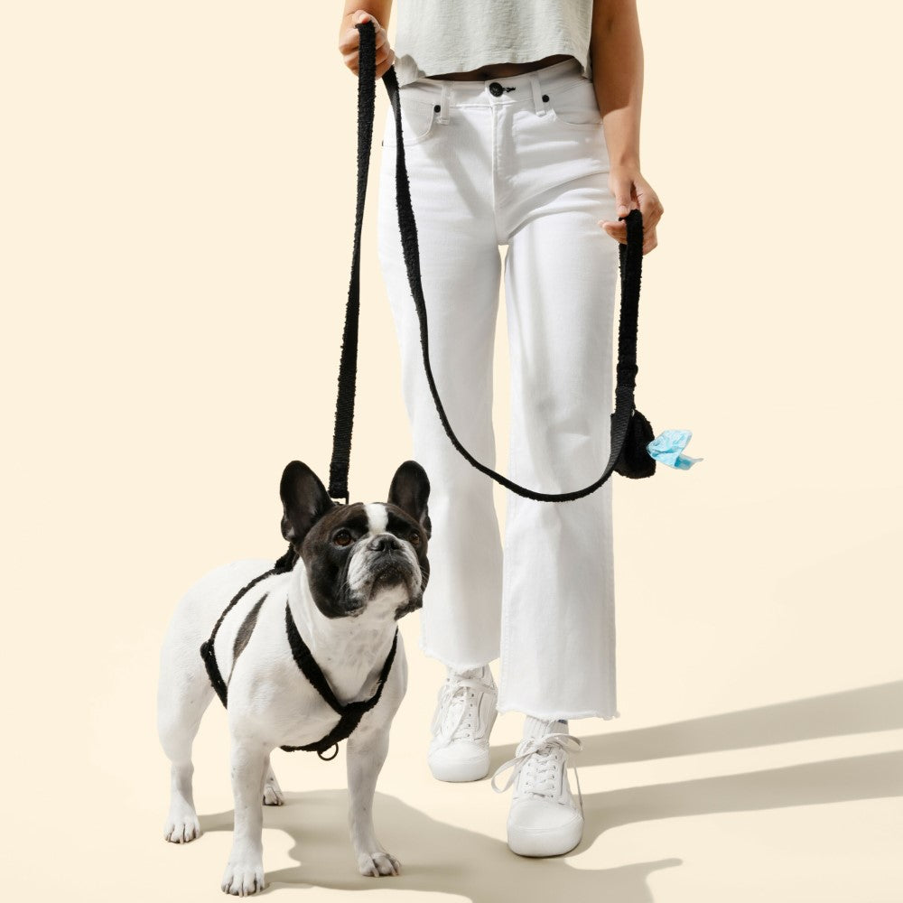 Nand Bouclé Adjustable H Harness and Leash Walk Set with Poop Bag Pouch
