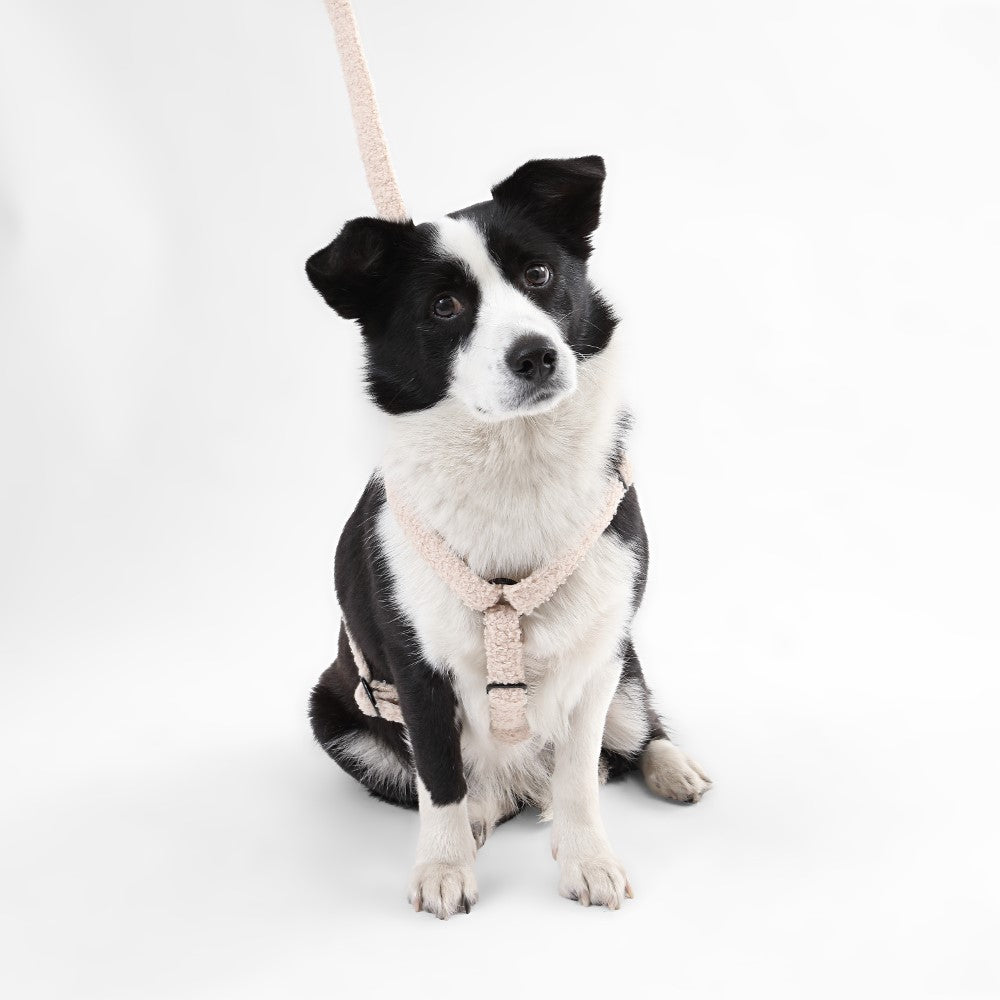 Nand Bouclé Adjustable H Harness and Leash Walk Set with Poop Bag Pouch