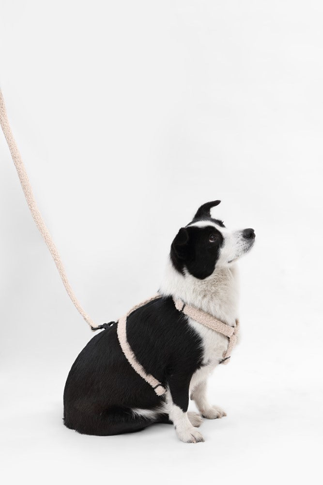 Nand Bouclé Adjustable H Harness and Leash Walk Set with Poop Bag Pouch