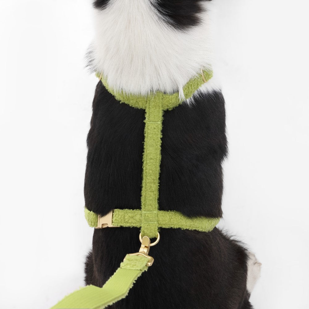 Nand Bouclé Adjustable H Harness and Leash Walk Set with Poop Bag Pouch