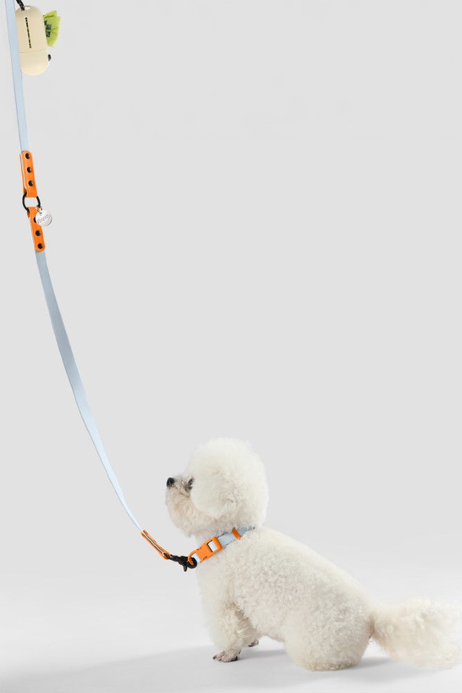 Shri 8FT Adjustable 6-in-1 Waterproof Hands-Free Leash and Collar with LED Flashlight Bag Dispenser and Poop Bag Holder