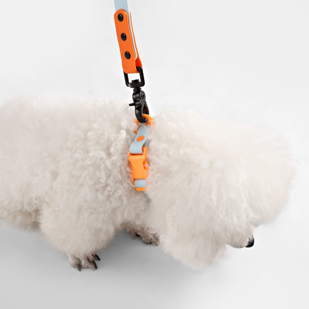 Shri 8FT Adjustable 6-in-1 Waterproof Hands-Free Leash and Collar with LED Flashlight Bag Dispenser and Poop Bag Holder