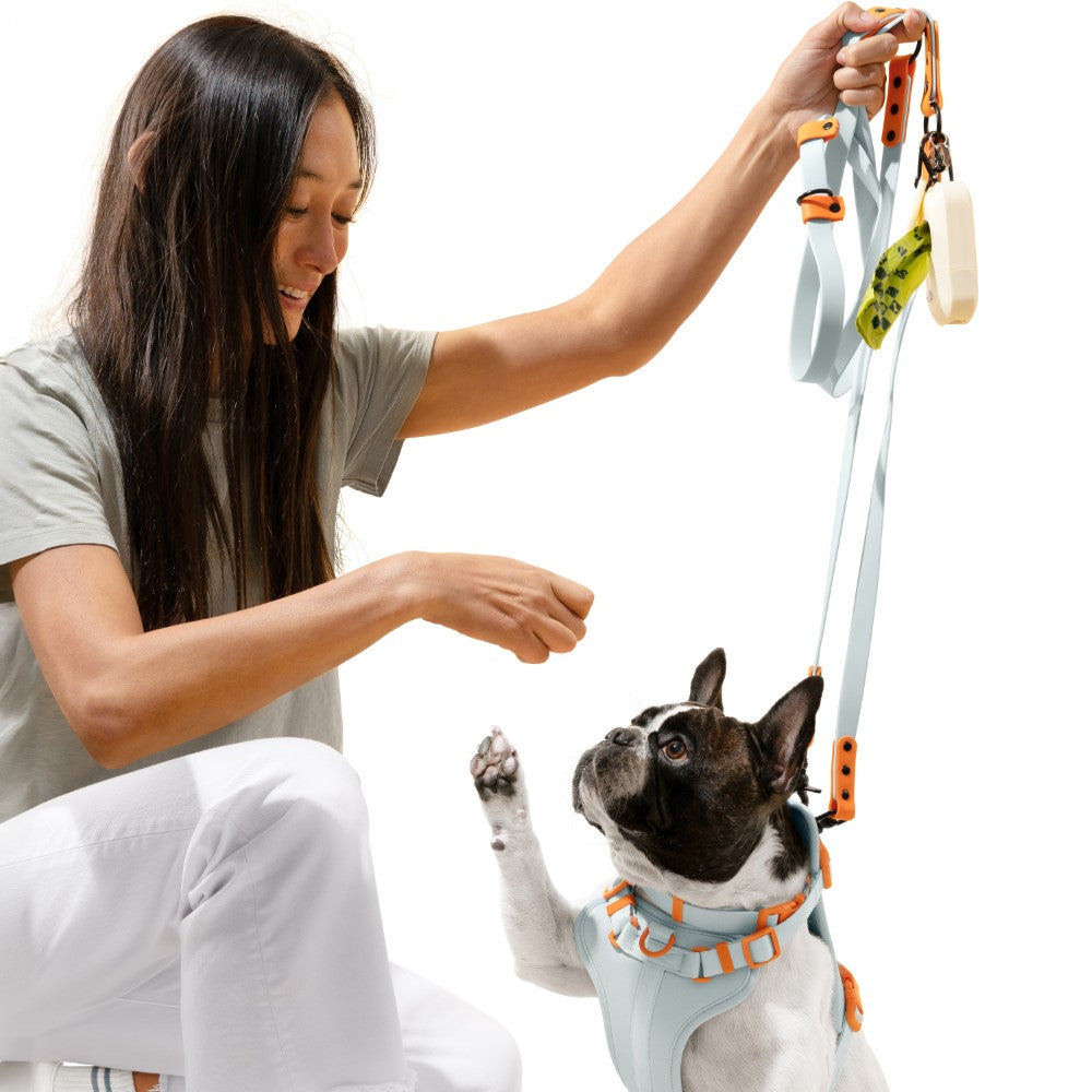 Shri 8FT Adjustable 6-in-1 Waterproof Hands-Free Leash and Collar with LED Flashlight Bag Dispenser and Poop Bag Holder
