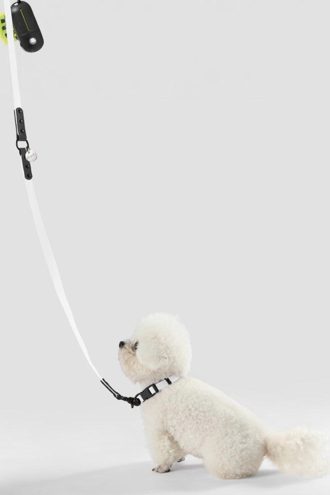 Shri 8FT Adjustable 6-in-1 Waterproof Hands-Free Leash and Collar with LED Flashlight Bag Dispenser and Poop Bag Holder