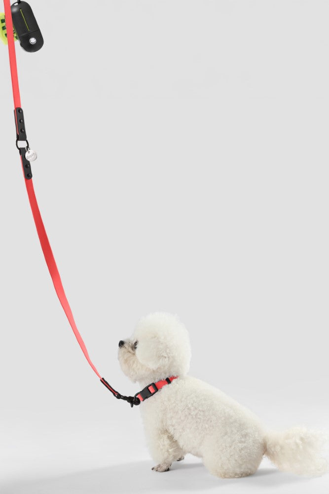Shri 8FT Adjustable 6-in-1 Waterproof Hands-Free Leash and Collar with LED Flashlight Bag Dispenser and Poop Bag Holder