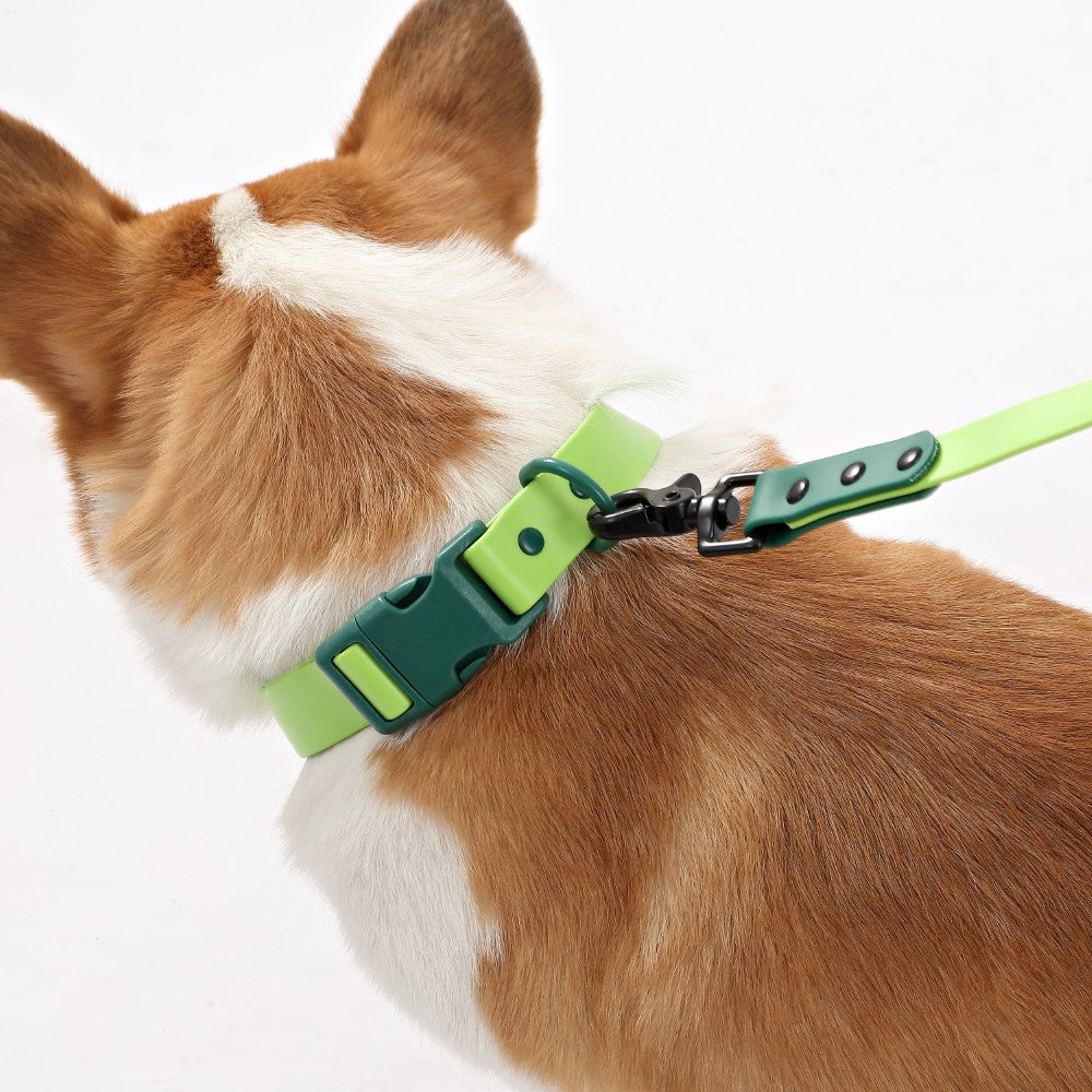 Shri 8FT Adjustable 6-in-1 Waterproof Hands-Free Leash and Collar with LED Flashlight Bag Dispenser and Poop Bag Holder