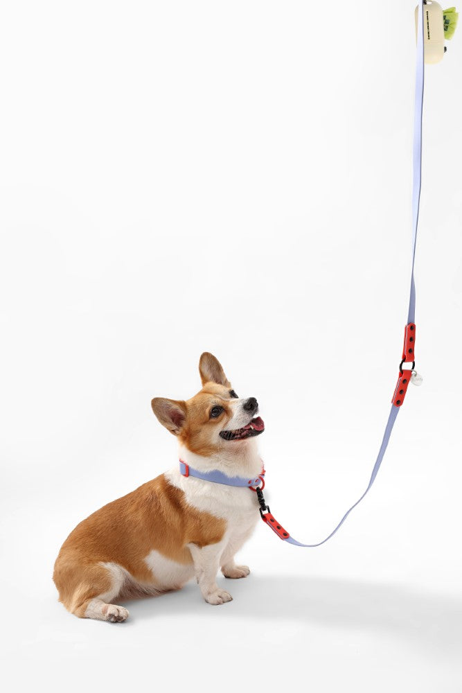 Shri 8FT Adjustable 6-in-1 Waterproof Hands-Free Leash and Collar with LED Flashlight Bag Dispenser and Poop Bag Holder