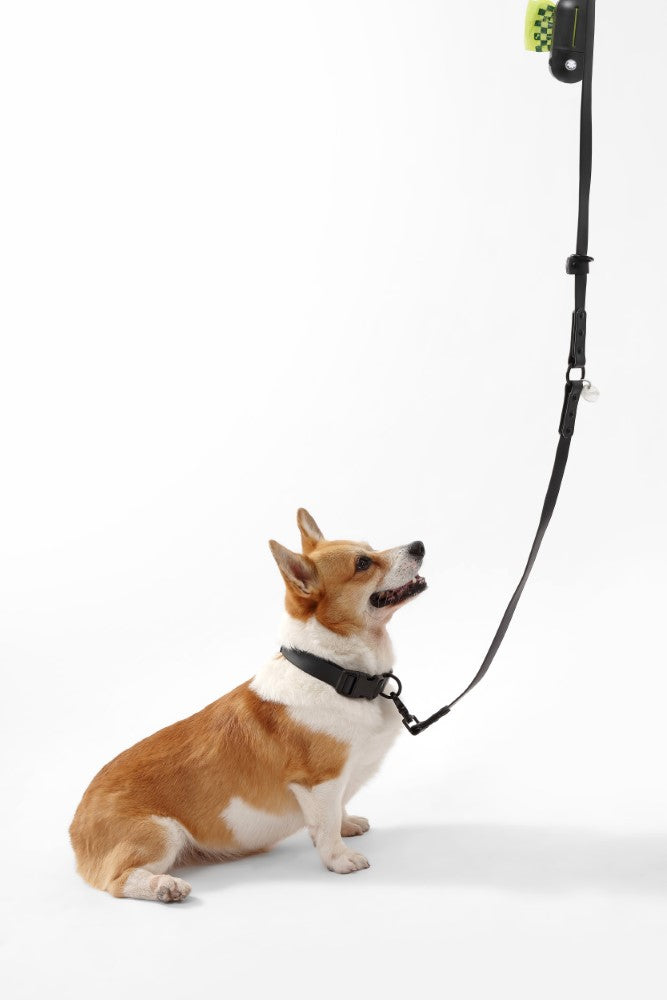 Shri 8FT Adjustable 6-in-1 Waterproof Hands-Free Leash and Collar with LED Flashlight Bag Dispenser and Poop Bag Holder