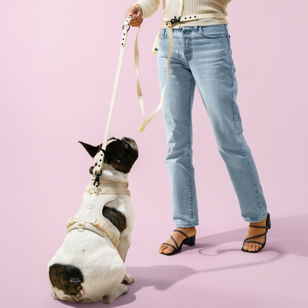 Shri 8FT Adjustable 6-in-1 Waterproof Hands-Free Leash and Collar with LED Flashlight Bag Dispenser and Poop Bag Holder