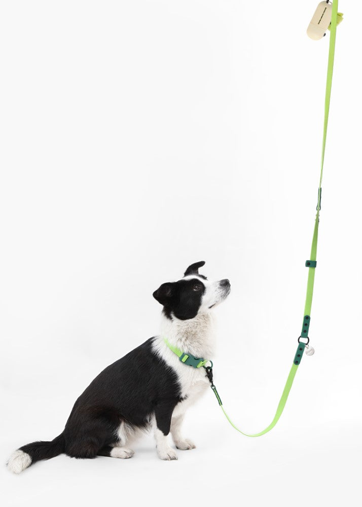 Shri 8FT Adjustable 6-in-1 Waterproof Hands-Free Leash and Collar with LED Flashlight Bag Dispenser and Poop Bag Holder