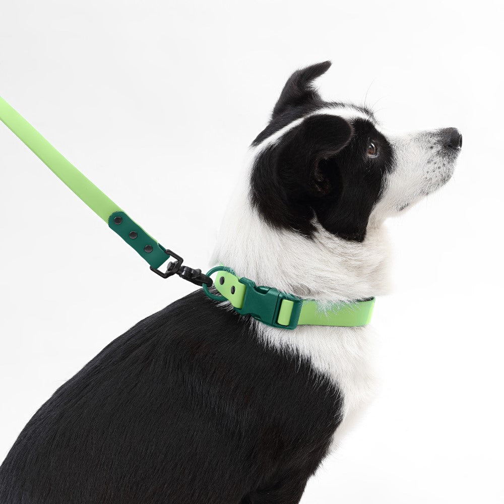 Shri 8FT Adjustable 6-in-1 Waterproof Hands-Free Leash and Collar with LED Flashlight Bag Dispenser and Poop Bag Holder