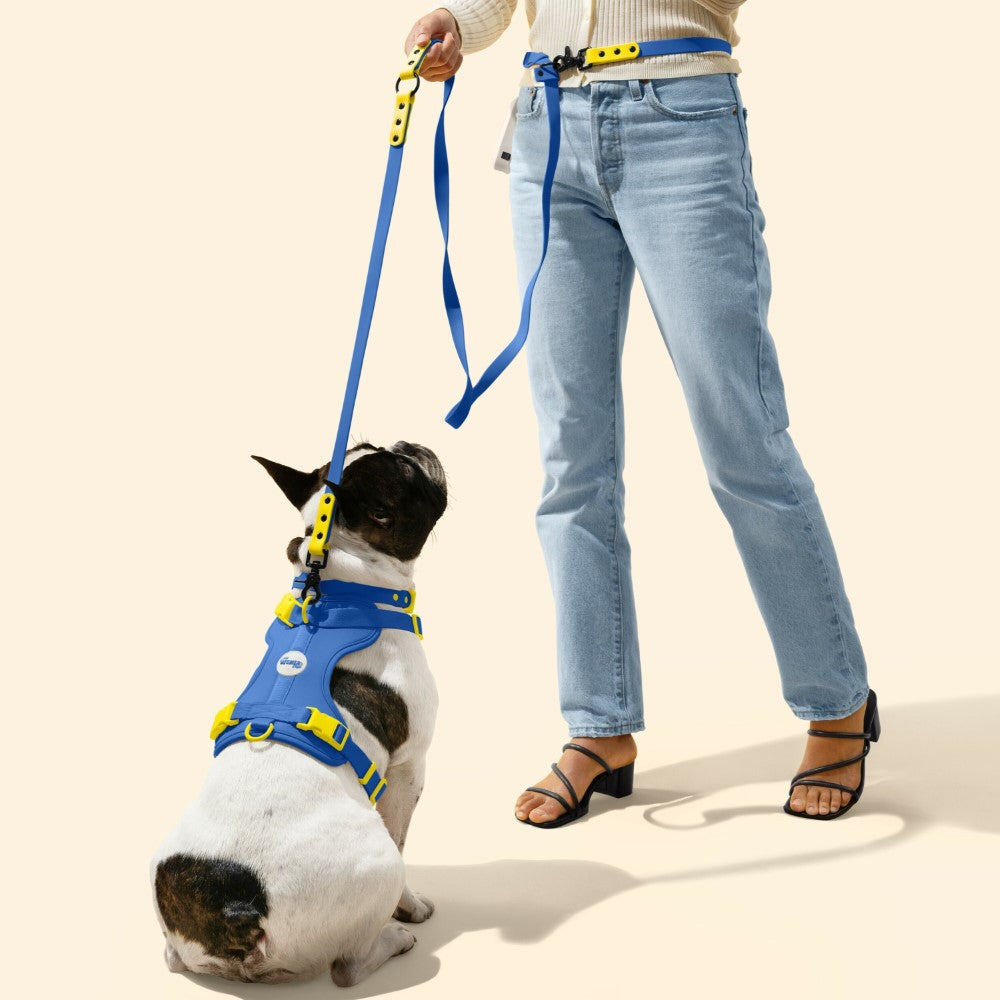 Shri 8FT Adjustable 6-in-1 Waterproof Hands-Free Leash and Collar with LED Flashlight Bag Dispenser and Poop Bag Holder