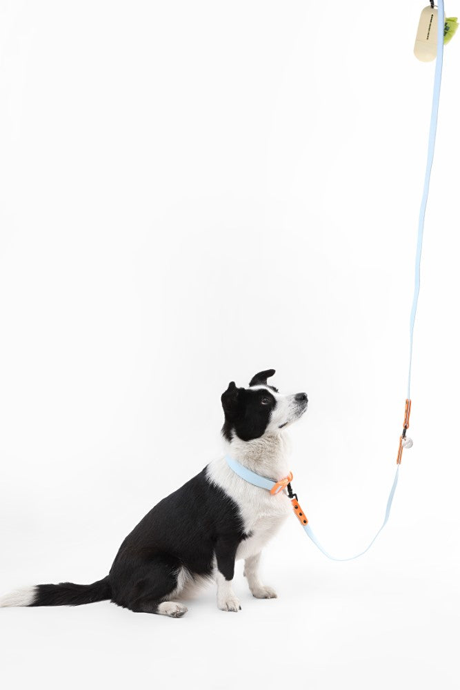 Shri 8FT Adjustable 6-in-1 Waterproof Hands-Free Leash and Collar with LED Flashlight Bag Dispenser and Poop Bag Holder