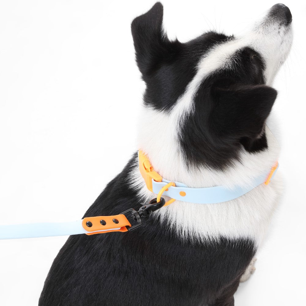Shri 8FT Adjustable 6-in-1 Waterproof Hands-Free Leash and Collar with LED Flashlight Bag Dispenser and Poop Bag Holder
