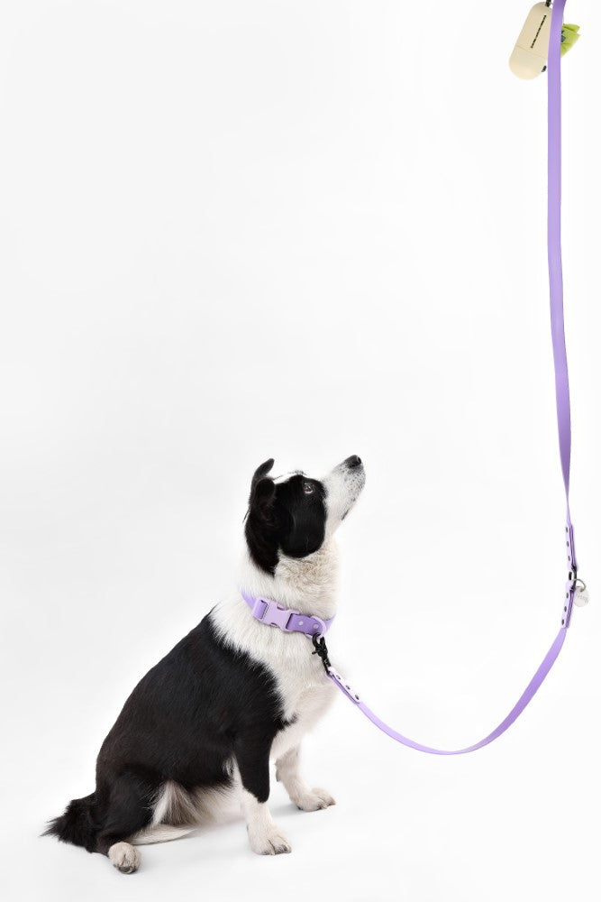Shri 8FT Adjustable 6-in-1 Waterproof Hands-Free Leash and Collar with LED Flashlight Bag Dispenser and Poop Bag Holder