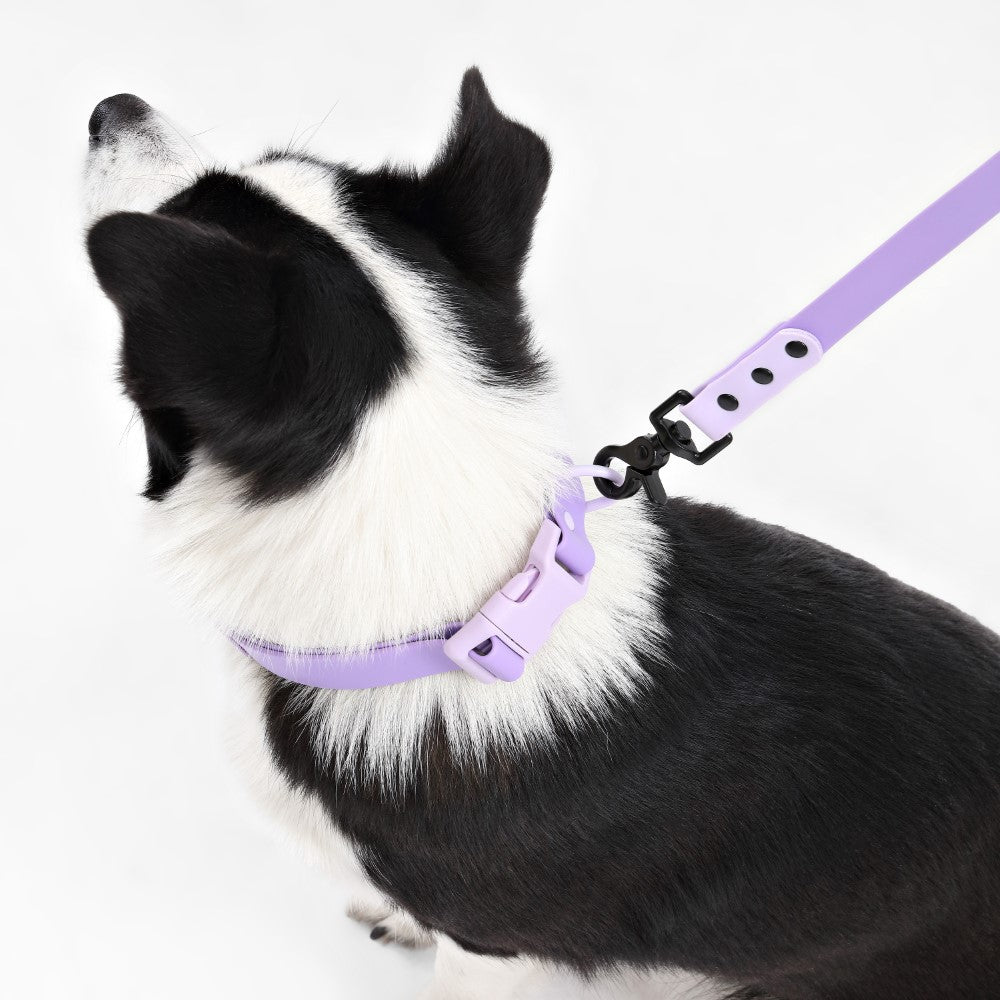 Shri 8FT Adjustable 6-in-1 Waterproof Hands-Free Leash and Collar with LED Flashlight Bag Dispenser and Poop Bag Holder