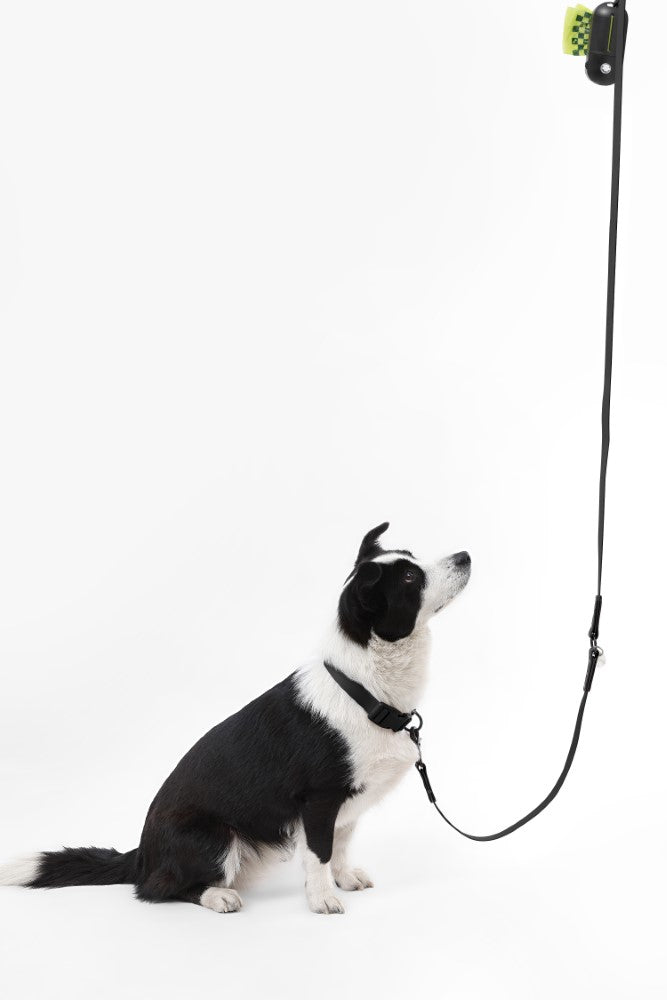 Shri 8FT Adjustable 6-in-1 Waterproof Hands-Free Leash and Collar with LED Flashlight Bag Dispenser and Poop Bag Holder