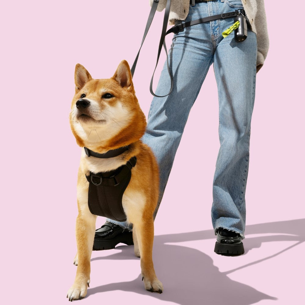 Shri 8FT Adjustable 6-in-1 Waterproof Hands-Free Leash and Collar with LED Flashlight Bag Dispenser and Poop Bag Holder